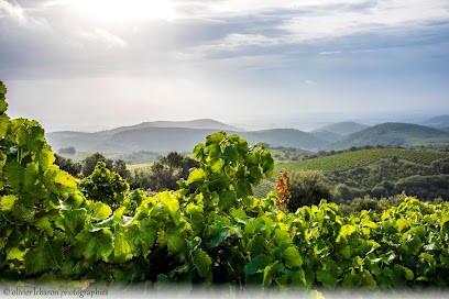 Lebaron De Pézenas, Photographe à Pézenas