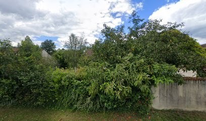 Ludot Monique, Photographe à Romorantin-Lanthenay