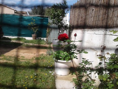 Claude Zuena Photographe, Photographe à Valergues