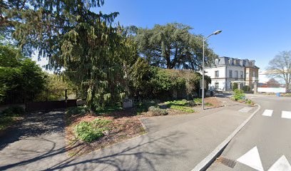 IRIS PHOTOGRAPHIES, Développement de Photos à Ensisheim