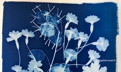 Philippe Hervouet, Photographe à Usson-en-Forez