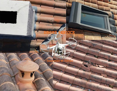 Drone Service 85, Photographe aux Achards