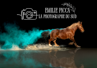 Emilie Picca | La Photographe Du Sud Photographe à Grans