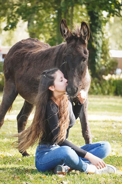 Stella Photographie, Photographe à Norrent-Fontes