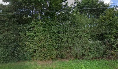 Diane Guyon Photographie, Photographe à Ménil-Hubert-sur-Orne