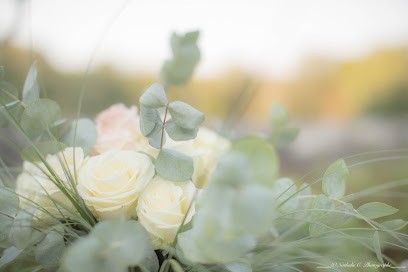 Nathalie Cholet Photographe, Photographe à Verteuil-sur-Charente