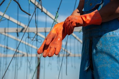 Pierre GRALL Photographe, Photographe à Montéléger