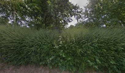 MJ Photography & Videography, Développement de Photos à Hambye