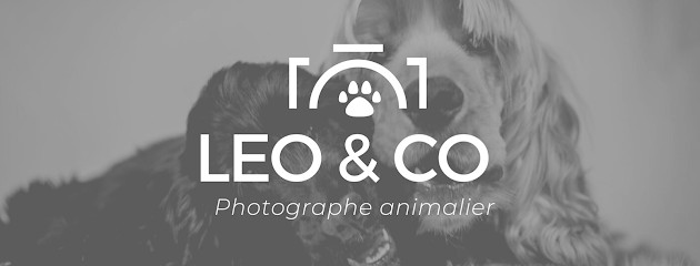 Lavinia Helias Photographie, Photographe à Bouloc