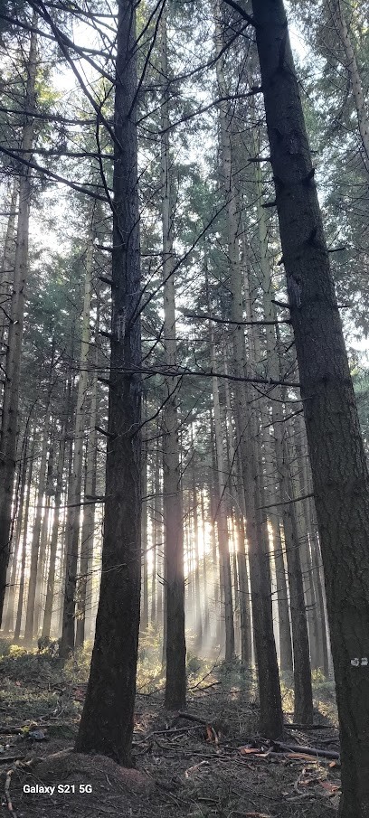 Atelier De L'Image, Photographe à Pélussin