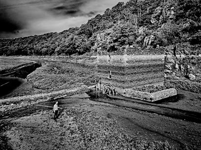 Serre Xavier Photo, Photographe à Montauban-de-Bretagne