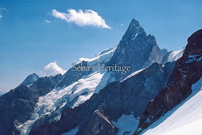 Seba's Heritage, Photographe à La Motte-Servolex