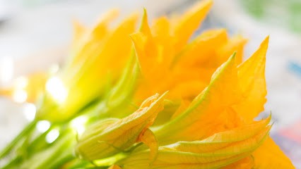 Bruce Borgna Auteur Photographe, Photographe à Oraison