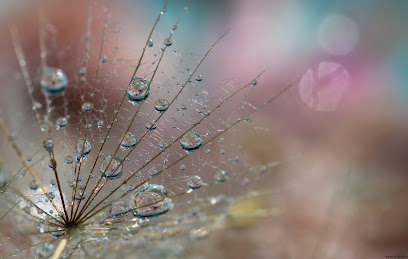 Des Rêves Et Des Bulles Photographie Photographe à Aurec-sur-Loire