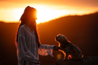 Na' Moon Pictures, Photographe aux Martres-de-Veyre