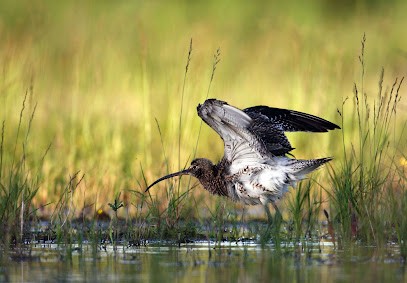 Photograph'Aventures, Photographe à Rumilly
