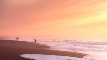 Yantzen Photographie, Photographe à Tarnos