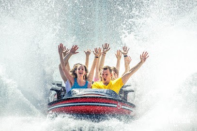 Le Bonheur des Gens, Photographe à Sainte-Savine