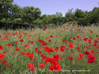 givernyphotos., Photographe à Giverny