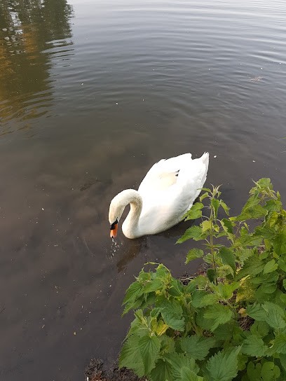 Idéal Photo, Photographe à Louviers
