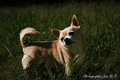 Photographie Joy R.F., Photographe à Saint-Georges-d'Orques