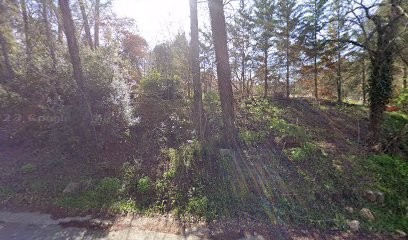 Art Fusion, Photographe à Trans-en-Provence