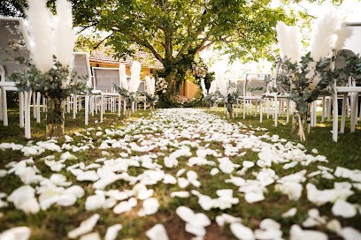 Nicolas Hyvoz Photographe, Photographe à Saint-Rabier