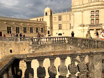 Guimauve Photographies, Photographe à Grignan