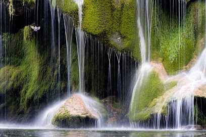 Lozère Sauvage Photographie, Photographe à Mende