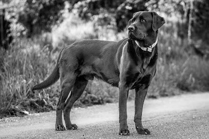 Shoot'you Créateur d'image, Photographe à Saint-Germier