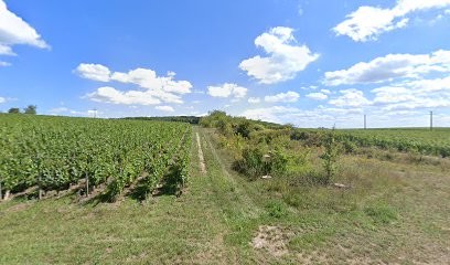 EL Photographe, Photographe à Saint-Gengoux-de-Scissé