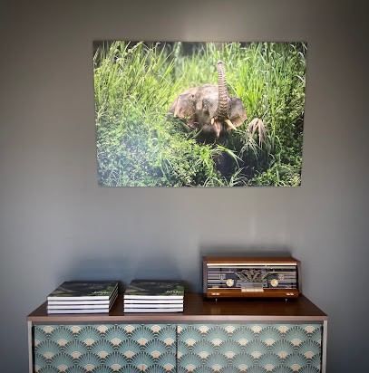 NATURE PHOTO GALERIE, Photographe à Mimizan