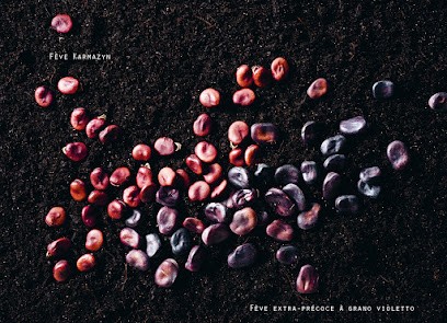 Isabelle Smolinski, Photographe à Aramon