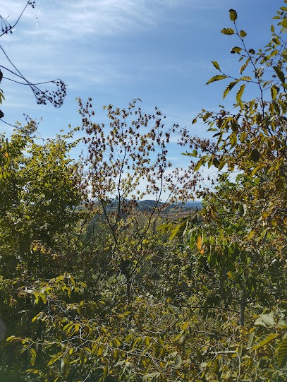 Photographie En Charolais, Développement de Photos à Beaubery