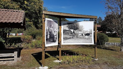 Joël Couchouron, Photographe à Sapois
