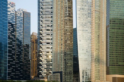 Lionel Bottereau Photographe, Photographe au Chesnay