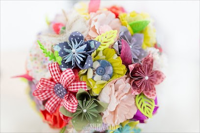 Stephalbum Photographe Professionnel, Photographe au Cendre