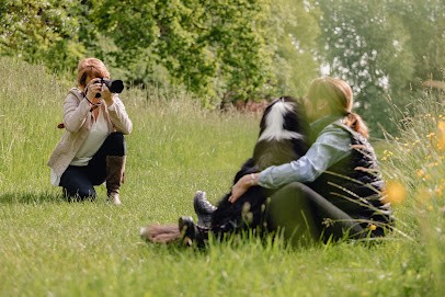 Cel'Image; Emotions De Vie - Vidéo Et Photo Sur Metz Et Environs, Photographe à Scy-Chazelles