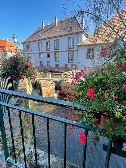 Clin D'Oeil Photo, Photographe à Wissembourg