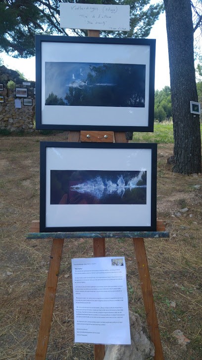 Klibi Sabri Photographies / Artiste 3d 2d / Free 2d / Gimp Blender Ect .., Photographe à Lodève