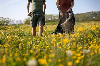 Sabine Greppo - Photographe Documentaire De Mariage, Photographe à Saint-Didier-au-Mont-d'Or