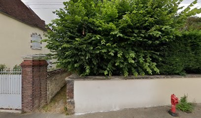 Plouvier Germain, Photographe à Laroche-Saint-Cydroine