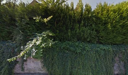 Activ'91, Photographe à Saulx-les-Chartreux