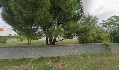Leroy Francis, Photographe à L'Île-d'Olonne