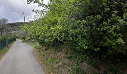 ArNoArt, Photographe à Grasse