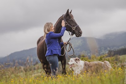 By Md Art Photographie, Photographe à Lunel