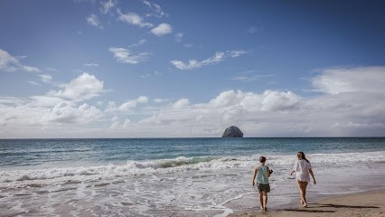 Arrêt Sur Image 2ème, Photographe à La Chapelle-sur-Erdre