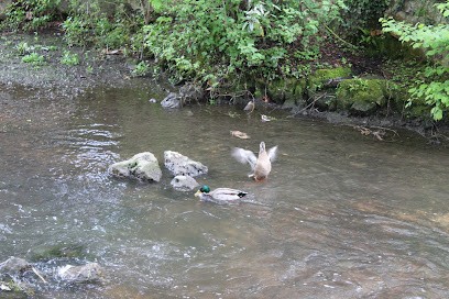 Phox Photo, Développement de Photos à Chartres