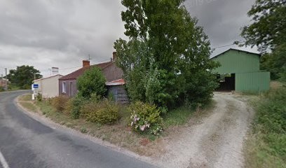 Onshore Studio, Développement de Photos à Landeronde