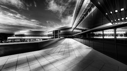 Studio Thibaut Mazen, Photographe à Saint-Floret